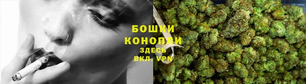 марки lsd Гусиноозёрск