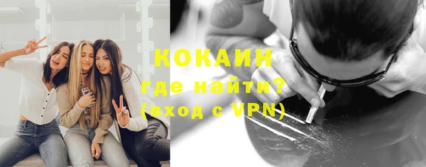 индика Ленинск
