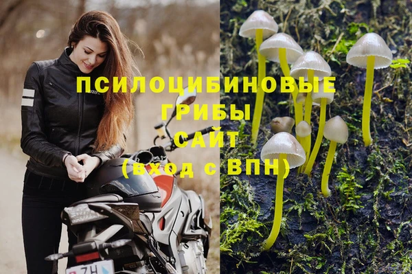 прущая мука Кукмор