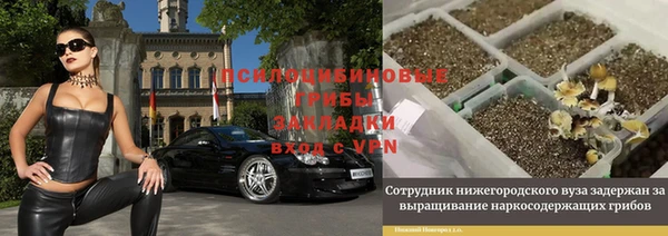 прущая мука Кукмор