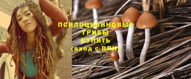 Галлюциногенные грибы MAGIC MUSHROOMS  сайты даркнета как зайти  Новоаннинский 