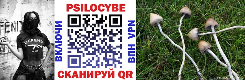 Псилоцибиновые грибы мухоморы  Новоаннинский 