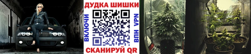 Каннабис конопля Новоаннинский